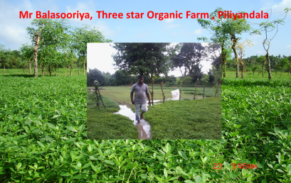 3-Star Organic Foods