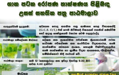 Advance Certificate in Plant Tissue Culture Technology – ශාක පටක රෝපණ තාක්ෂණය පිළිබඳ උසස් සහතික පත්‍ර පාඨමාලාව